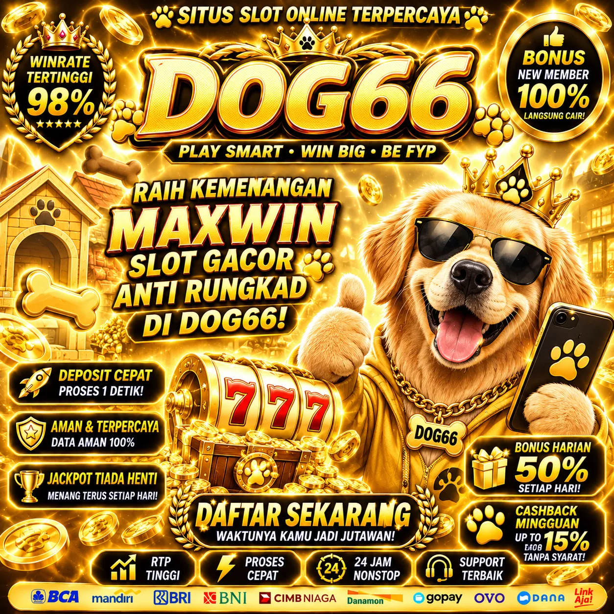 DOG66 Banner